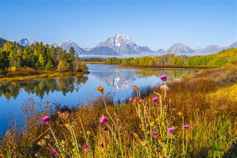 Oxbow Bend Grand Teton National Park Autumn Reflections Morning Mists