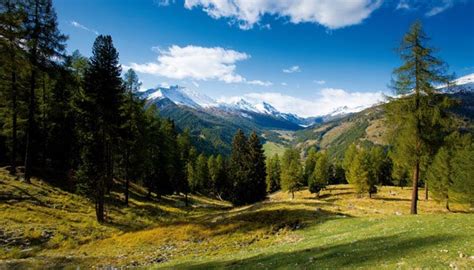 Der einzige nationalpark der schweiz, auf rätoromanisch parc naziunal svizzer, liegt im östlichsten zipfel des schweizer engadin. Nationalpark Schweiz und Münstertal verlieren UNESCO-Titel