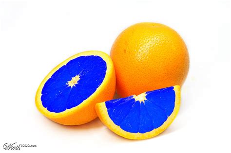 Blue Orange Worth1000 Contests