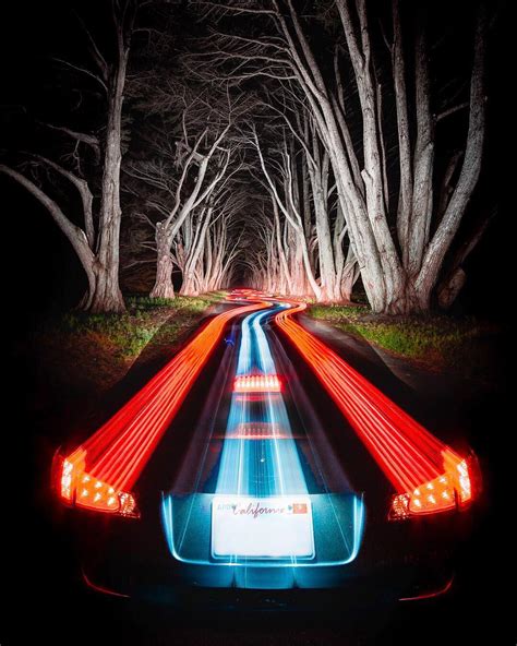 Interesting Photo Of The Day Long Exposure In The Woods Light Trail