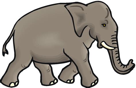 Elephant Clipart Amazing Wallpapers