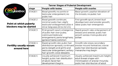 puberty and tanner stages lgbtq online doctors office