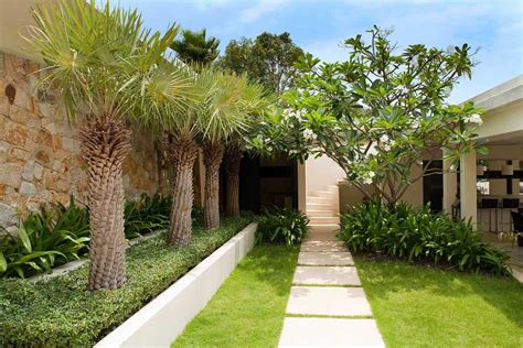 35 Palm Tree Garden Ideas