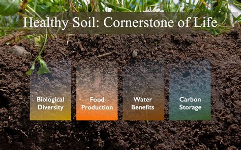 Improve Soil Health Leicesters Soil Solutions