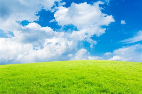 Blue Sky And White Clouds And Grass Stock Photo Image Of