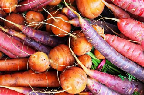 Roots Vegetables