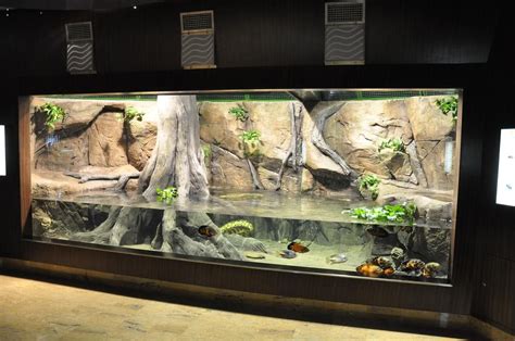 Click For A Larger View Reptile Terrarium Reptile Enclosure Terrarium