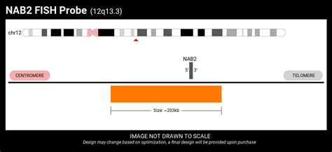 Nab2stat6 Fusion Fish Probe Confirm Nab2 And Stat6 Fusions