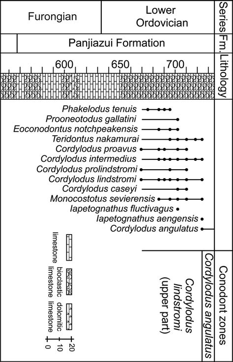 Chart Showing The Stratigraphic Ranges Of The Upper Middle Cambrian