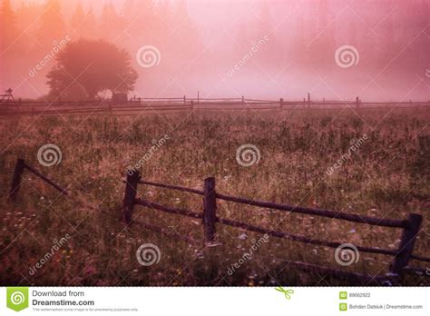 Morning Sun Rays In The Fog Mountains Tree Stock Photo Image Of