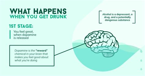 How Alcohol Affects The Brain