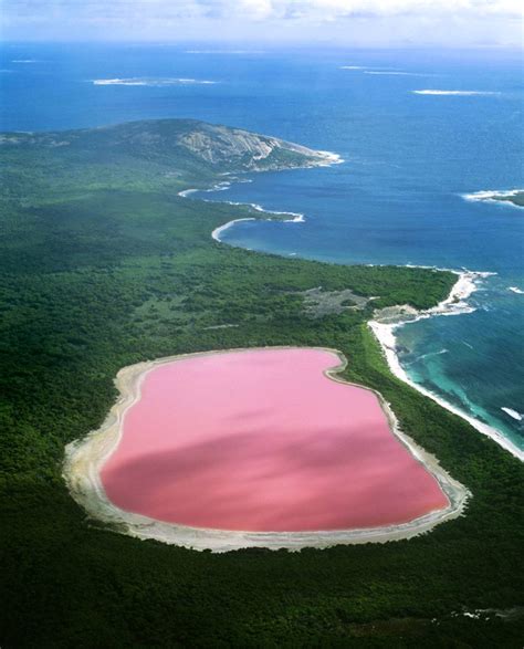 Pink Lake In Middle Island Australia Paradise Kashmir