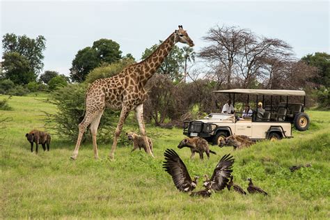 Best Things To Do In Botswana Go2africa
