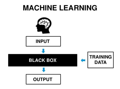 Machine Learning Black Box The Data Scientist