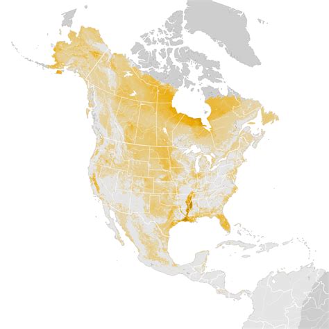 Wilsons Snipe Abundance Map Post Breeding Migration Ebird Status