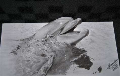 How To Draw A Dolphin Head At How To Draw