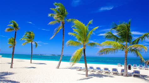Bahamas Vacation Rentals House Rentals And More Vrbo