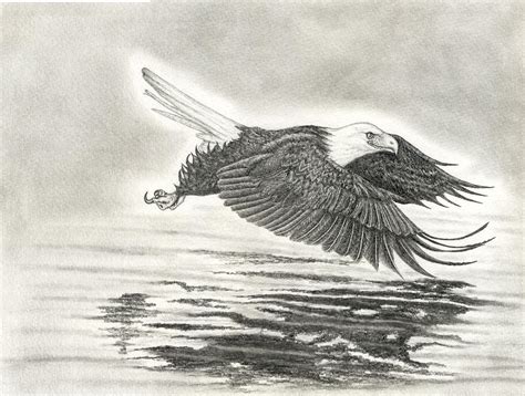 Soaring Eagle Drawing By Jw Widener