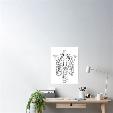 Rib Cage Poster By Jero Redbubble