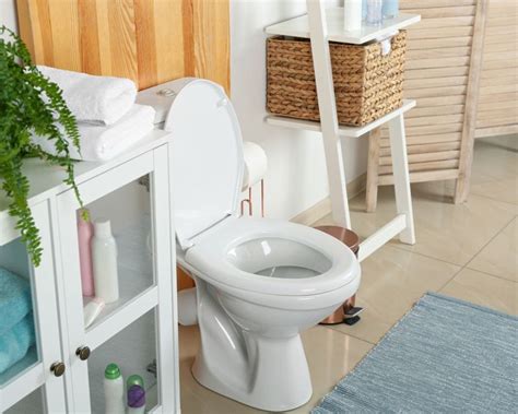 Best 10 Inch Rough In Toilet Reviews