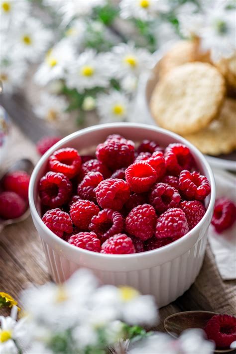 Free Images Table Nature Plant Sun Fruit Berry Morning Summer Meal Food Red Harvest