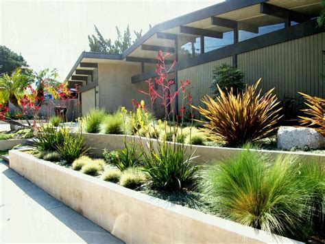 58 Drought Resistant Front Yard Home Garden