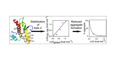 Rational Stabilization Of Helix 2 Of The Prion Protein Prevents Its