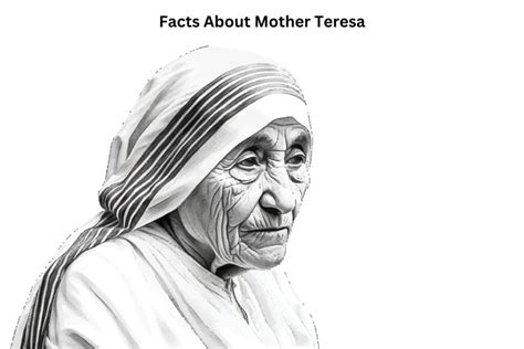 10 Facts About Mother Teresa Have Fun With History