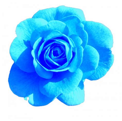 See more ideas about blue aesthetic, aesthetic, everything is blue. 30+ Blue Aesthetic Tumblr Laptop Images, HD Photos ...