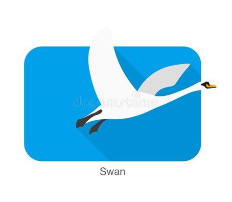 Mute Swan Stock Illustrations 232 Mute Swan Stock Illustrations