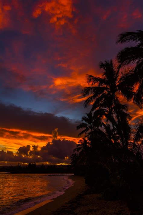 Oahu Sunrise By Kelly Headrick 500px Sky Aesthetic Nature Pictures