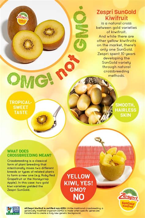 Fun Fact Sungold Kiwifruit Is Non Gmo Still Confused Check Out This