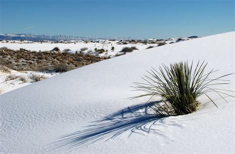 10 Fun Things To Do When You Visit White Sands National Park