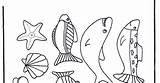 Parable Coloring Fishing Paste Cut sketch template