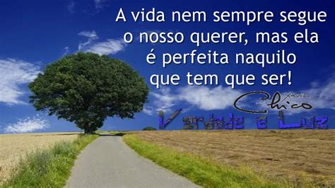 Nada Nessa Vida é Por Acaso Absolutamente nada - Chico Xavier - Verdade Luz