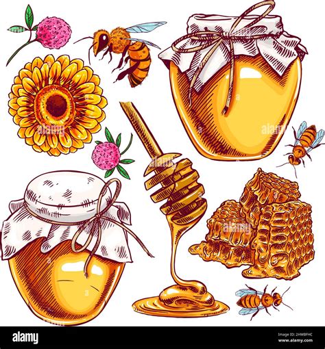 cute honey set jars of honey bees honeycomb hand drawn illustration stock vector image and art