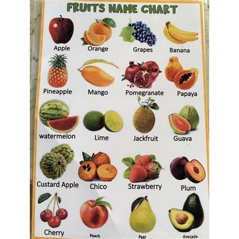 A4 Laminated Educational Chart Fruits Shopee Philippines