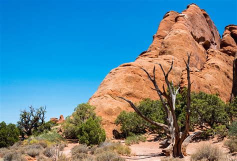 Desert Landscape Of Utah Usa Lifeless Desert Plain Stock Photo - Download Image Now - iStock