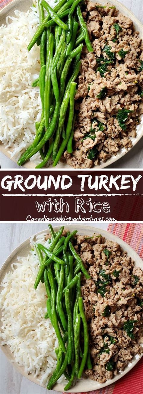 Swedish meatballs with sour cream sauce. Ground Turkey with Rice in 2020 | Fun easy recipes, Healthy recipes, Recipes