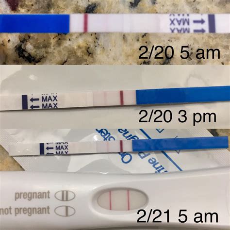 Faint Lines On Pregnancy Test Strip Pregnancy Test