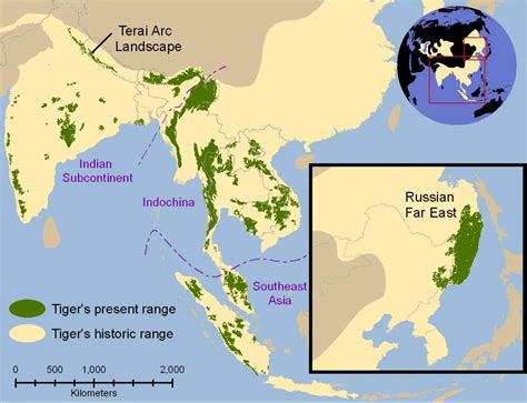Tiger Historic And Present Range Our Planet