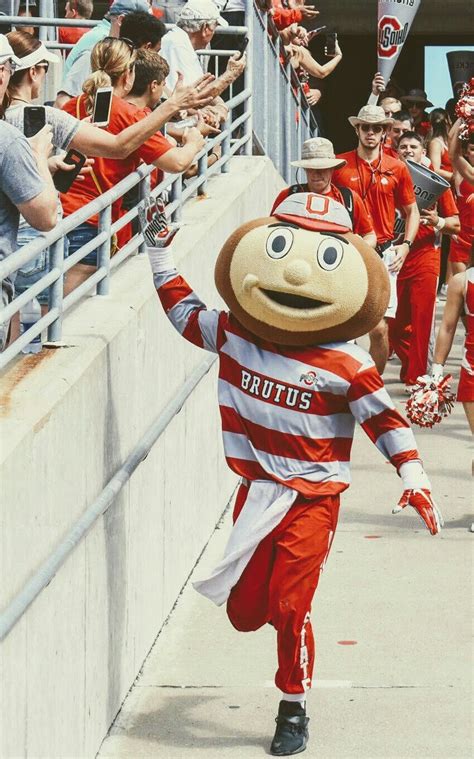 Brutus buckeye getting ready for football game fans loved ...
