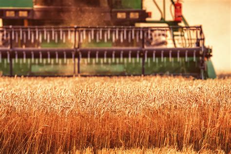 Kansas wheat harvest off to brisk start | 2020-06-17 | World Grain
