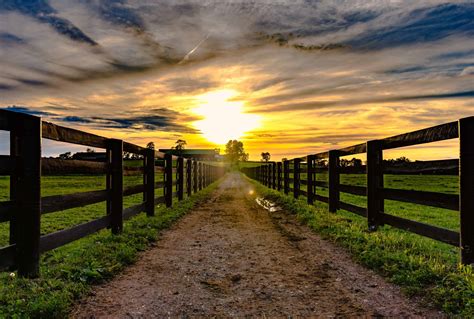 You Can Now Take A Virtual Tour Of Kentuckys Beautiful Horse Country