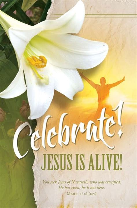 Celebrate Jesus Is Alive Easter Bulletin Letter Size Church Partner