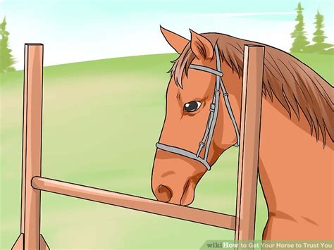 How To Get Your Horse To Trust You 10 Steps With Pictures