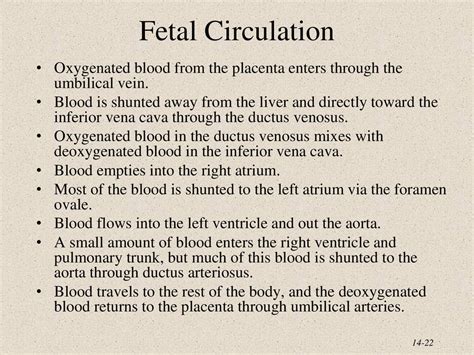 Chapter 23 The Blood Vessels And Circulation Ppt Download