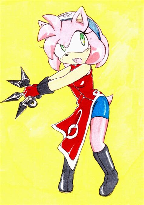 Amy Rose Sakuras Outfit Protect A Rose Foto 35636805 Fanpop