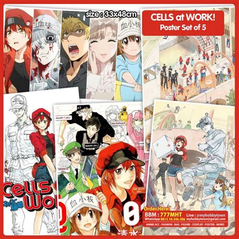 Jual Poster Anime Set Cells At Work Hataraku Saibou Dapat 5