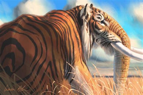 Tigerphat Tiger Elephnat Hybrid By Ablaise On Deviantart Fantasy